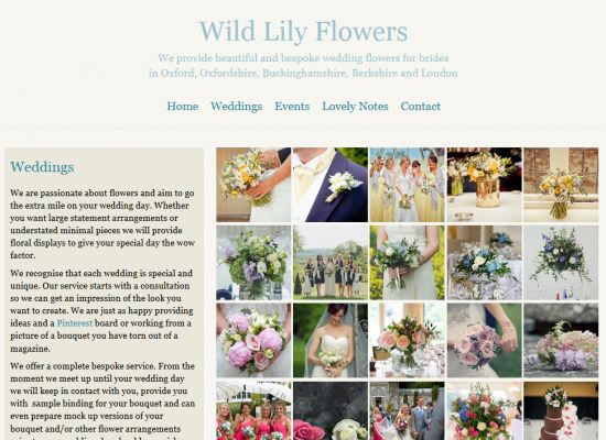 Wild Lily Flowers Website Design